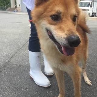 脚に怪我を負って収容されたクリス君