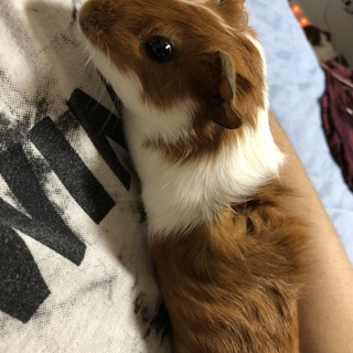 募集を1度締め切らせていただきます