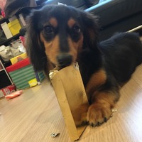 アル