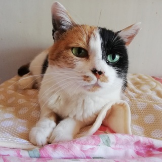 エメラルドグリーンの目が印象的な女の子☆