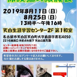 保護猫の譲渡会 サムネイル1
