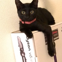 ルナ