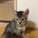 6月生まれのヤンチャな男の子です