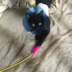 遊んでアピール