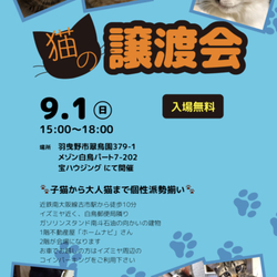 猫の譲渡会