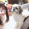 たてちゃ