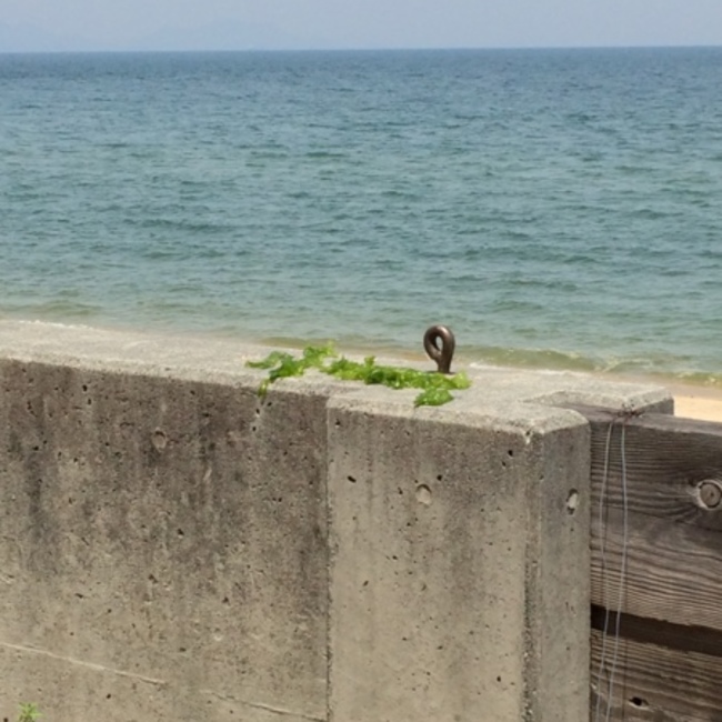 Hinathuのカバー写真
