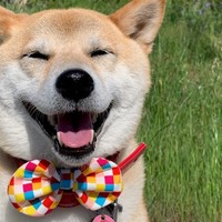 中澤もも