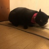 ジジちゃん。