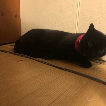 の写真