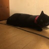 の写真
