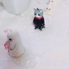 ぽにょにょにょ