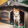 の写真