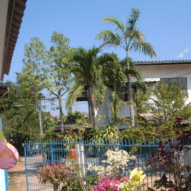 にゃんタン栃木のカバー写真