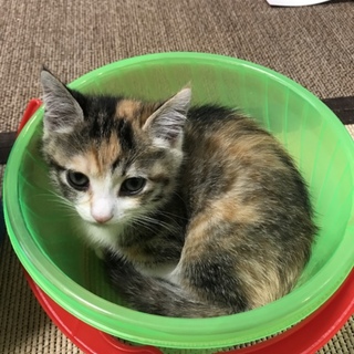 沢山の応募ありがとうごさいました。