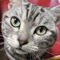 ふうちゃん