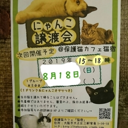 にゃんこ譲渡会@nekoyado サムネイル1