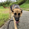 一旦募集を停止します。 サムネイル6