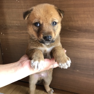 ミルクから育てたおチビちゃん☆③