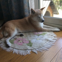 やっぱり…ふたりがいい？(°ー°〃)