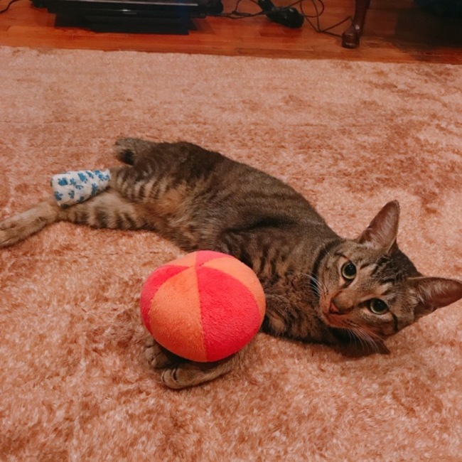 12130531のカバー写真