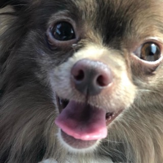 ずっとの家族募集中