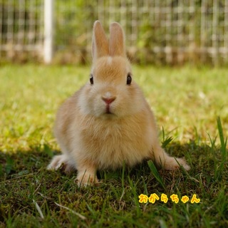 ずっとの家族募集中