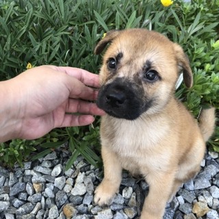 里親さま決まりました☆
