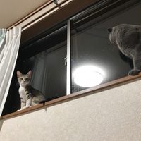 ルーナ