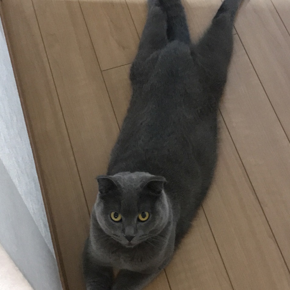 ティダのカバー写真