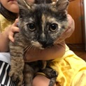 クゥーちゃんです