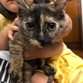 クゥーちゃんです