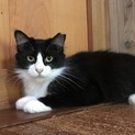 ありがとうございました