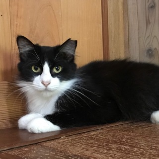 ありがとうございました