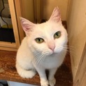 ありがとうございました