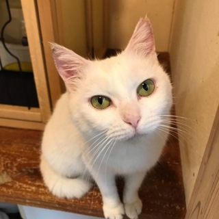 ありがとうございました