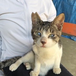 人慣れ抜群！生涯のパートナーを探してます