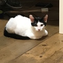 ムギちゃんです♡