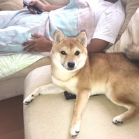 大吉