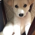 いいご縁がありました！