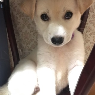 いいご縁がありました！