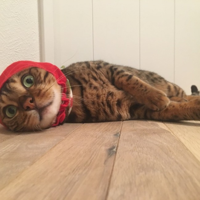 tomooo1012のカバー写真