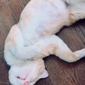 人が大好き！ちゃあ君