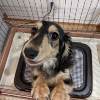 家庭の事情により。