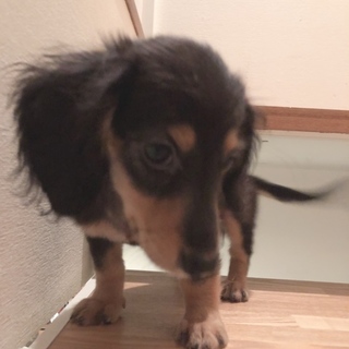 暖かい家族が決まりました！ありがとうございました。