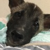 距離が縮まった？