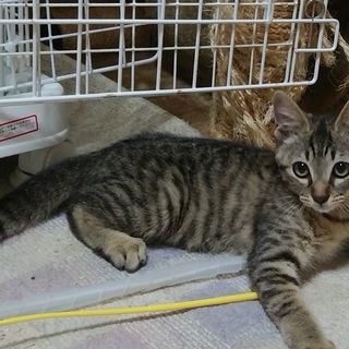 小柄だけれど元気な女の子3か月