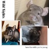 ギャリー