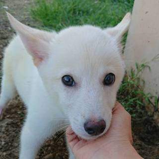 センターから引き出し　元気な男の子