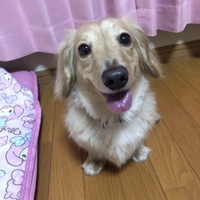 める
